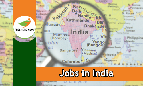 Jobs in India For Freshers